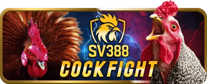 Hướng Dẫn Đăng Ký Tài Khoản tin88 win Chi Tiết
